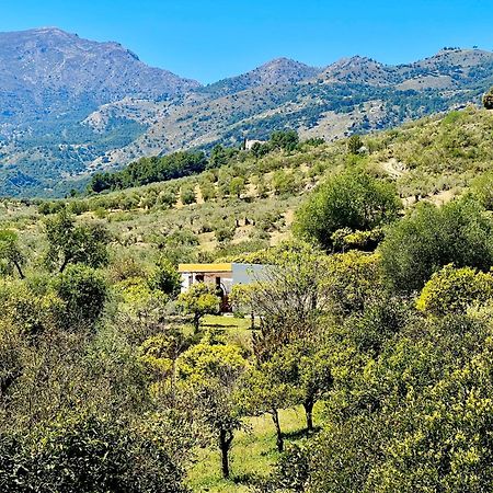 Finca Martina Rural Private Guest Suites Casarabonela Exterior foto