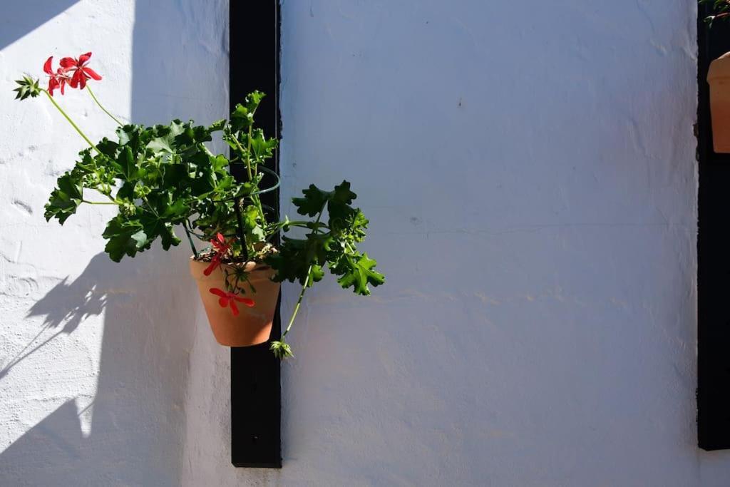 Finca Martina Rural Private Guest Suites Casarabonela Exterior foto