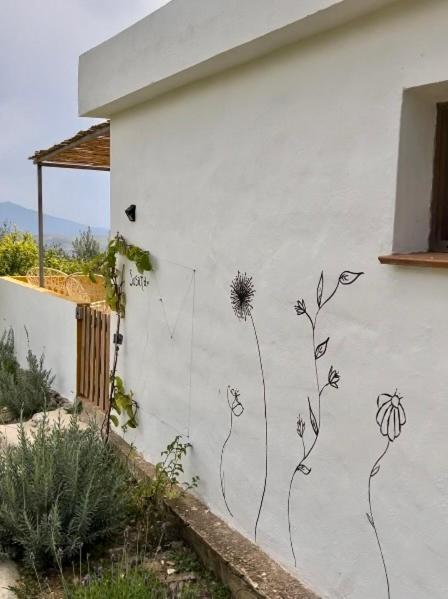 Finca Martina Rural Private Guest Suites Casarabonela Exterior foto