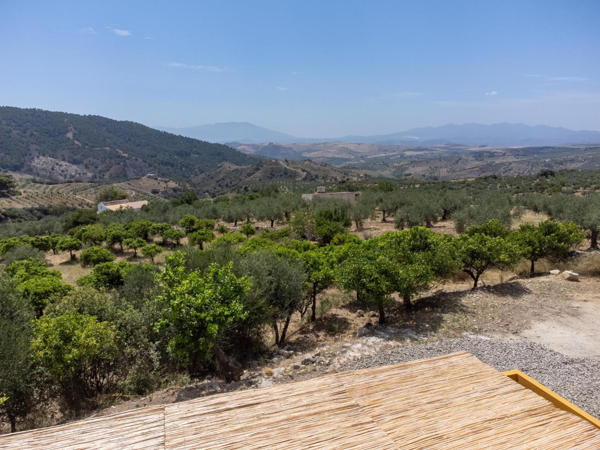 Finca Martina Rural Private Guest Suites Casarabonela Exterior foto