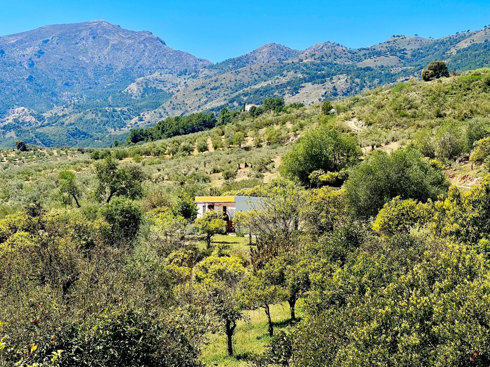 Finca Martina Rural Private Guest Suites Casarabonela Exterior foto